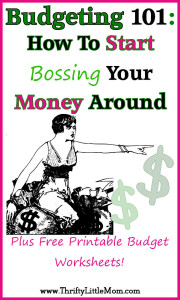 Boss Your Money Around